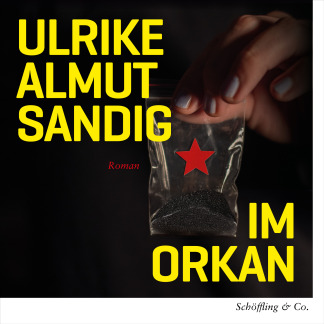 Im Orkan
