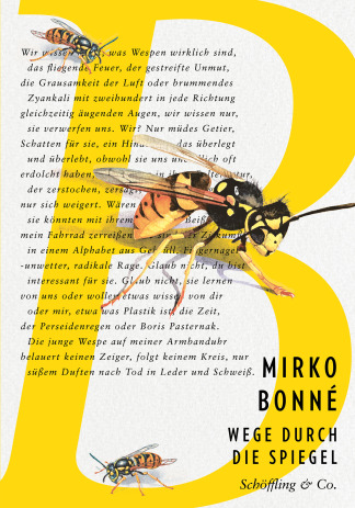 Cover von Mirko Bonné, Wege durch die Spiegel